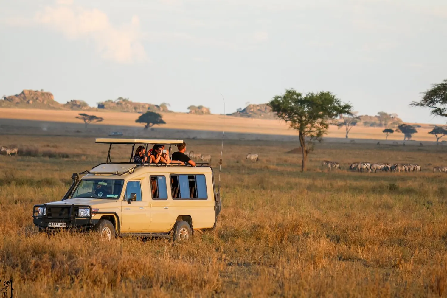 3-Day Tanzania Sharing Safari: Affordable Group Joining  2025